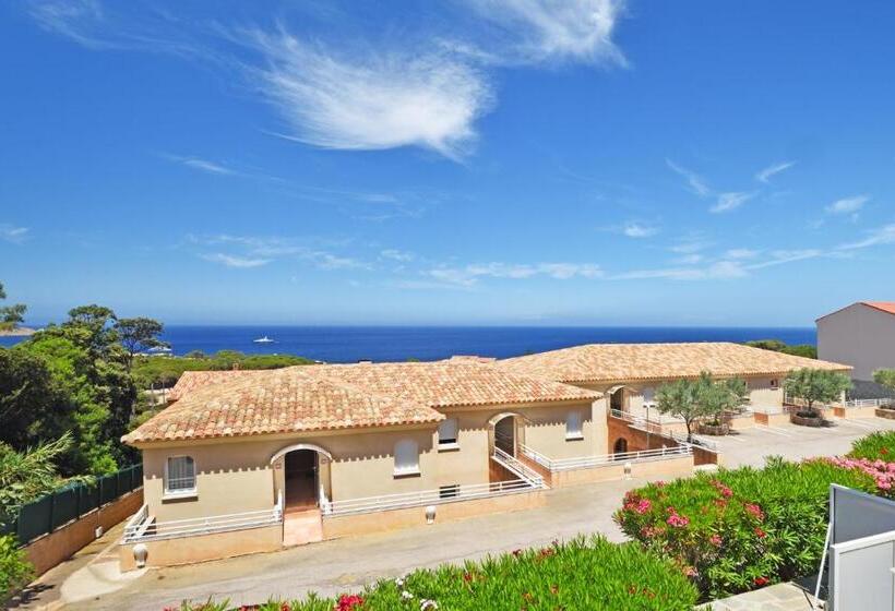 Студия Стандарт, Calvi Appart Hôtel