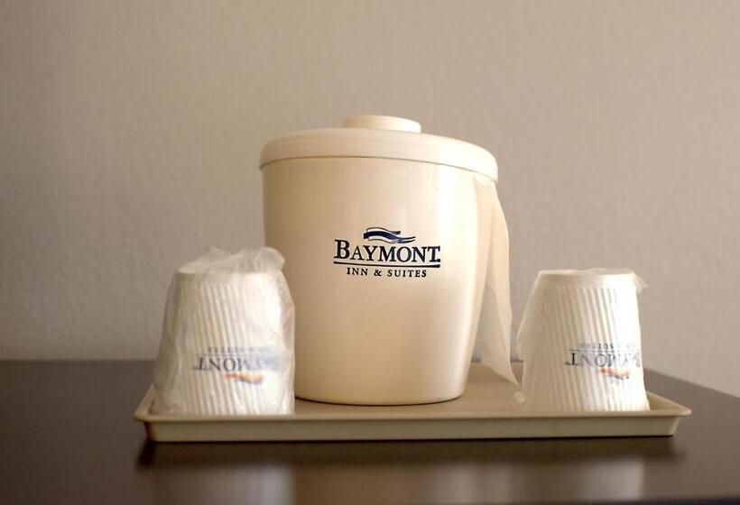 디럭스 스위트 킹 침대, Baymont By Wyndham Cambridge