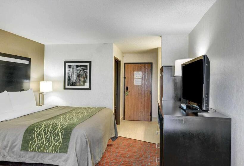 Стандартный Номер Кровать Кинг, Comfort Inn