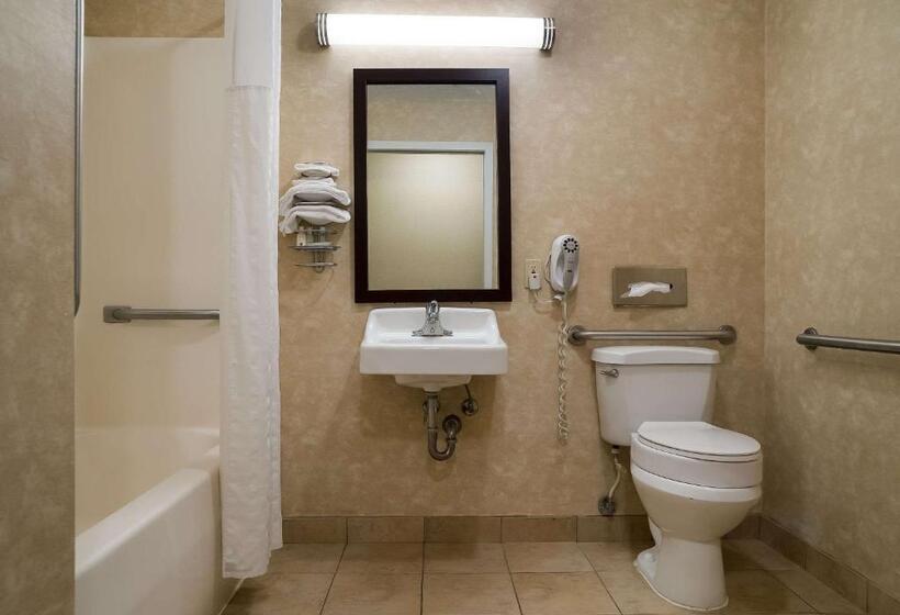 Номер Стандарт 2 Двуспальные Кровати, Quality Inn Grand Blanc   Flint South