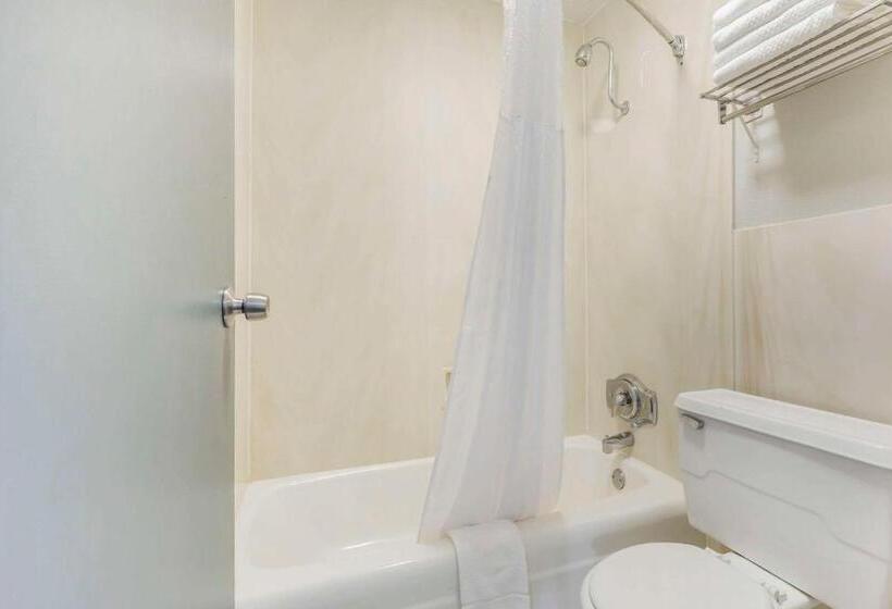Quarto Estandar, Quality Inn & Suites