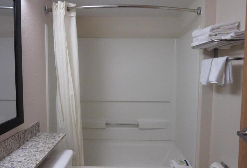 标准间, Microtel Inn & Suites By Wyndham Arlington/dallas Area