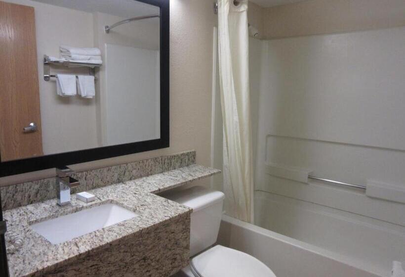 标准间, Microtel Inn & Suites By Wyndham Arlington/dallas Area