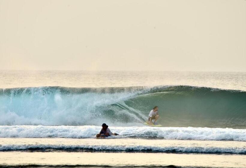 스탠다드 룸, Krui Surfing
