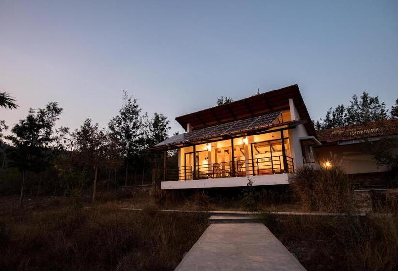 Номер Стандарт, Dhole's Den Bandipur
