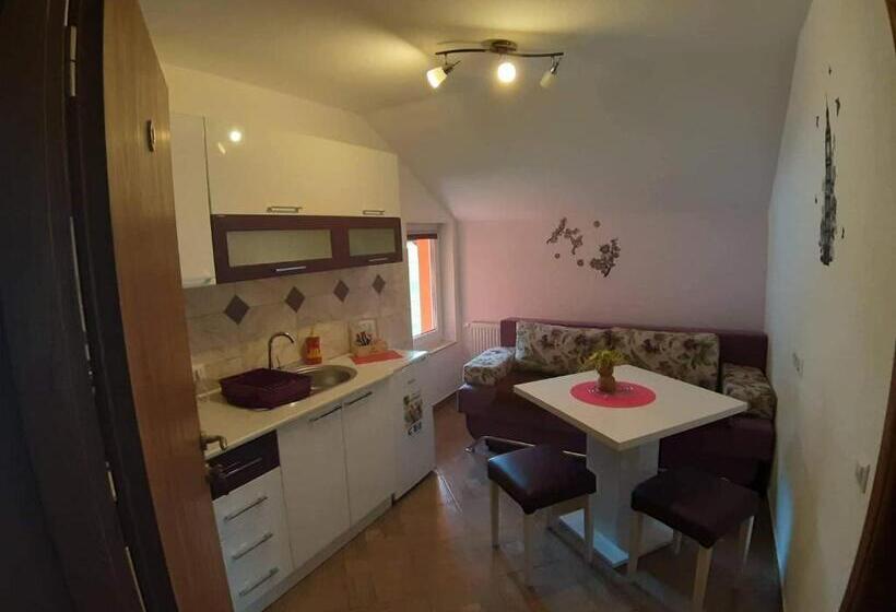 آپارتمان 1 خوابه, Guest House Mačić