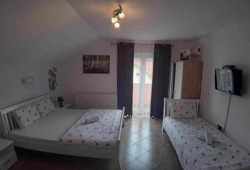 آپارتمان 1 خوابه, Guest House Mačić