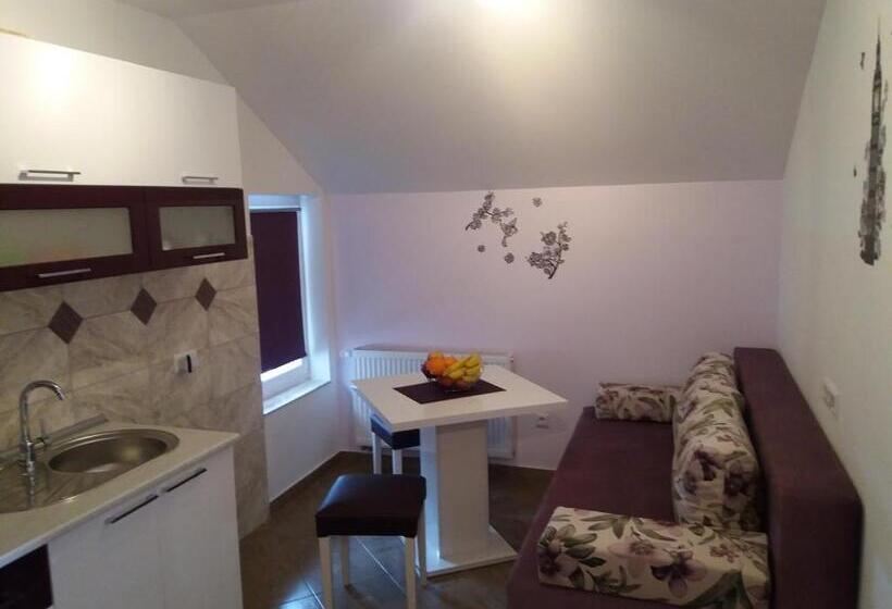 آپارتمان 1 خوابه, Guest House Mačić