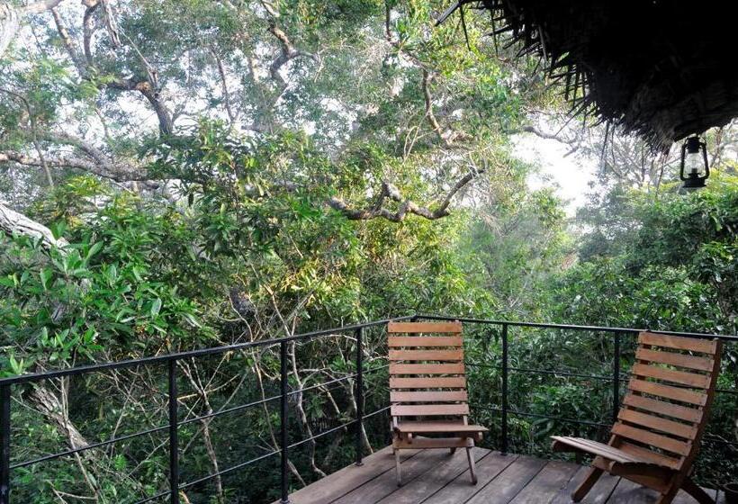 Номер Deluxe с Балконом, The Backwaters Lodge