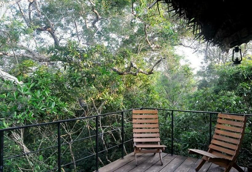 Номер Стандарт с Балконом, The Backwaters Lodge
