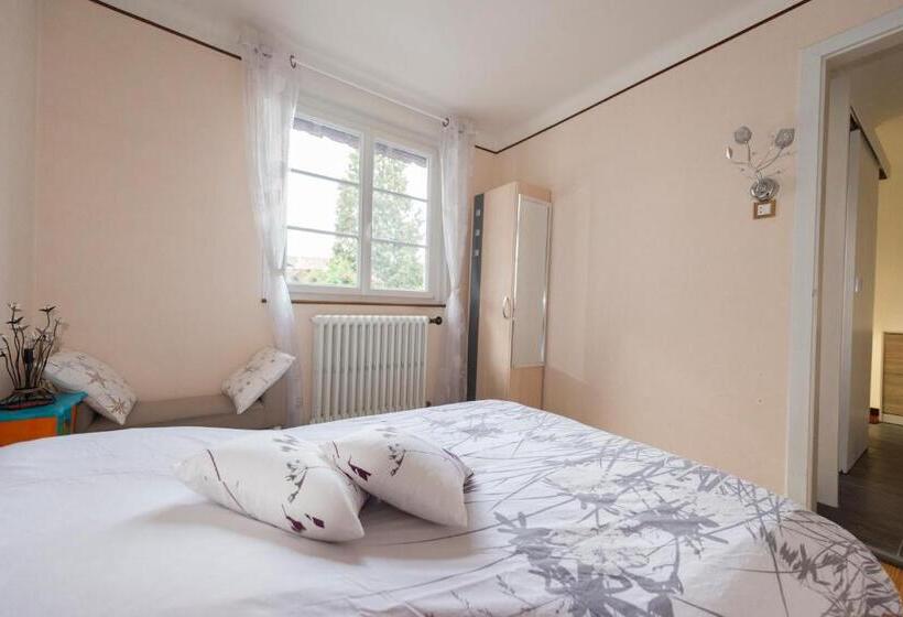 Апартаменты 1 Спальня Нижний Этаж, Appartement T3 Aux Deux Cigognes Gries