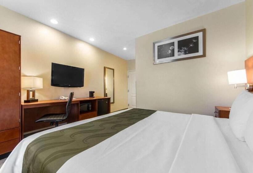 Стандартный Номер Кровать Кинг, Quality Inn San Jose Airport Silicon Valley