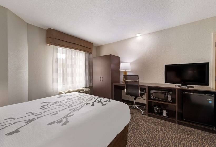 Номер Стандарт Адаптированный для Инвалидов, Sleep Inn Northlake