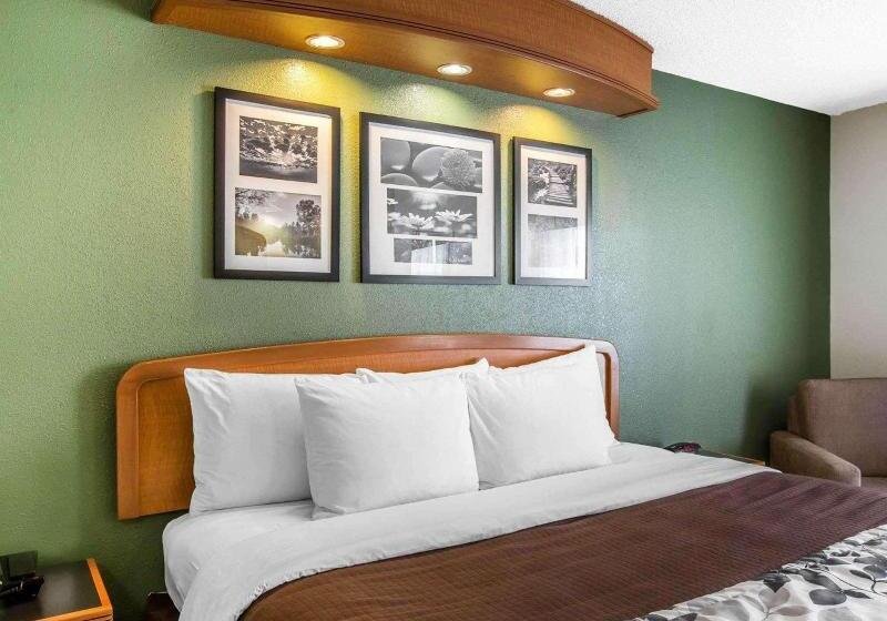 带大床的标准间, Clarion Pointe Albemarle