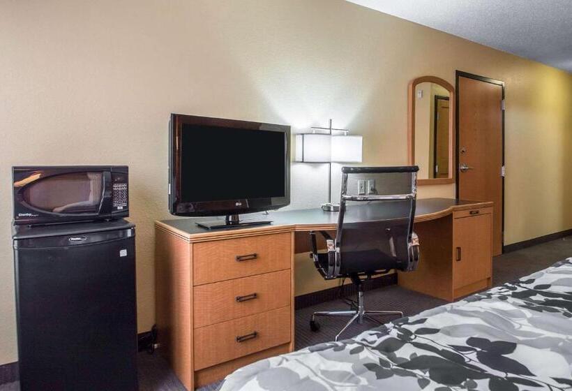 Стандартный Номер Кровать Кинг, Sleep Inn & Suites Sheboygan I 43