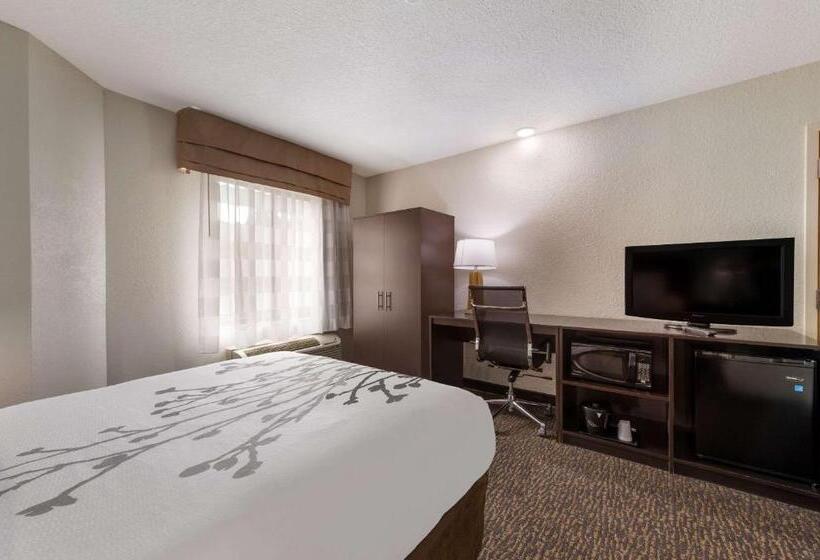 Номер Стандарт Адаптированный для Инвалидов, Sleep Inn Northlake