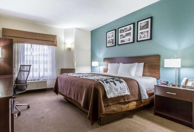 스탠다드 룸 킹사이즈 침대, Sleep Inn Scott/lafayette West