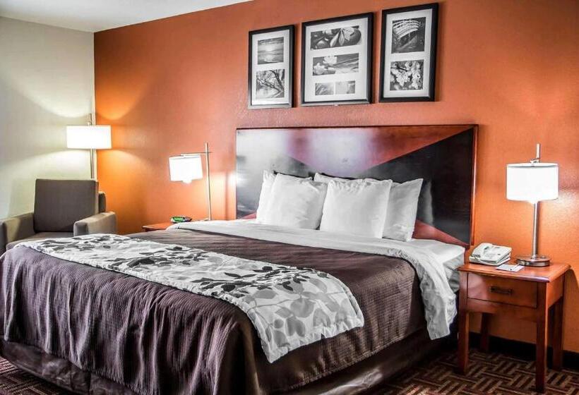 Стандартный Номер Кровать Кинг, Sleep Inn & Suites Oklahoma City North