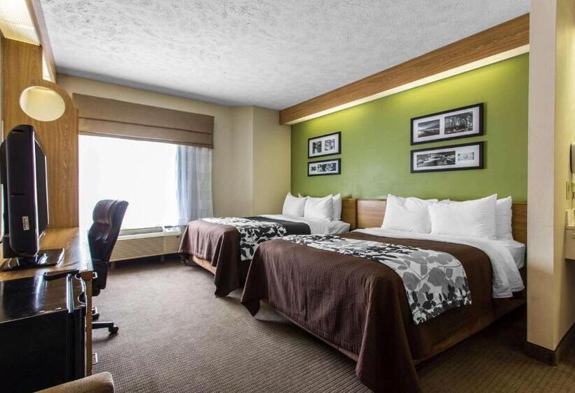 Номер Стандарт 2 Двуспальные Кровати, Surestay By Best Western Summerville Flowertown
