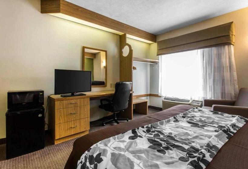 Стандартный Номер Кровать Кинг, Surestay By Best Western Summerville Flowertown