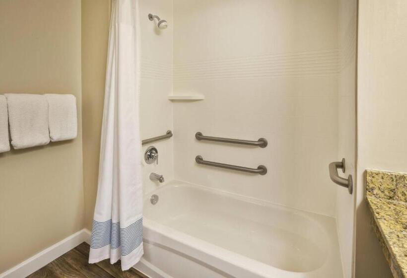 Студио Executive, Towneplace Suites Detroit Dearborn