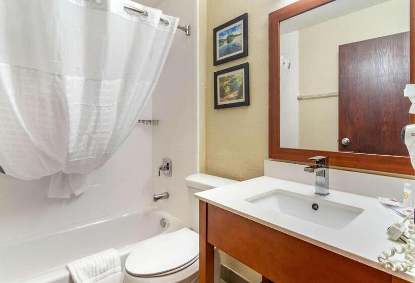 Номер Стандарт 2 Двуспальные Кровати, Comfort Inn & Suites South Hill I85