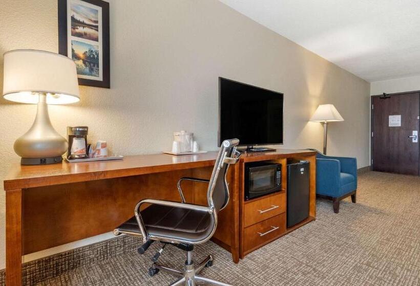 Номер Стандарт, Comfort Inn & Suites South Hill I85