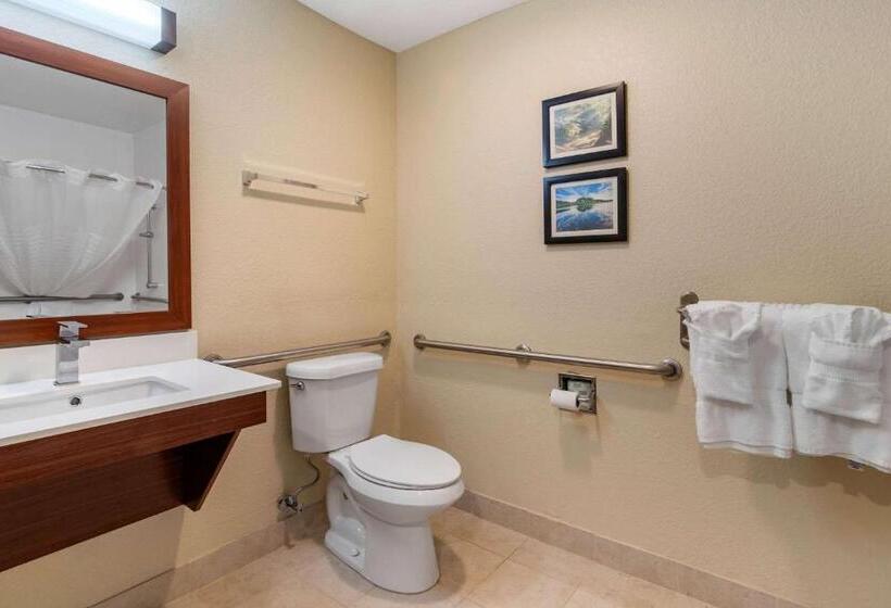 Номер Стандарт Адаптированный для Инвалидов, Comfort Inn & Suites South Hill I85