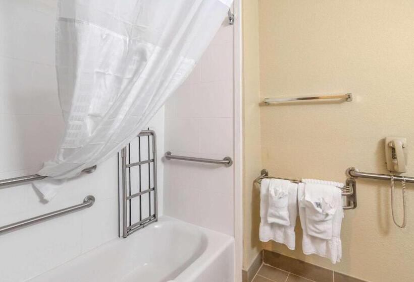 Номер Стандарт Адаптированный для Инвалидов, Comfort Inn & Suites South Hill I85