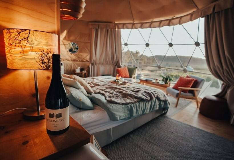 Standard Tent, Domescapes In The Vines