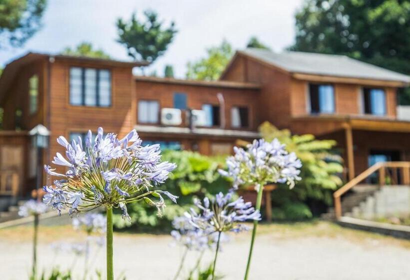 Семейный Номер, Apart Hotel Puchaley Lafquen