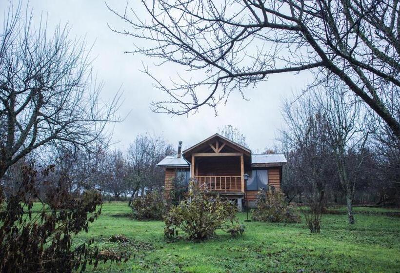 Бунгало Стандарт, Apart Hotel Puchaley Lafquen