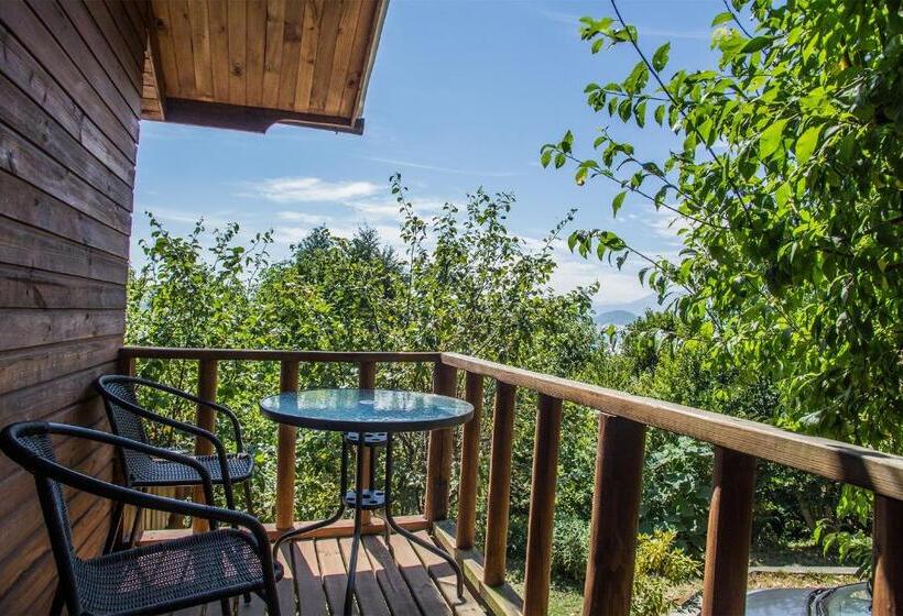 Номер Стандарт Вид на Сад, Apart Hotel Puchaley Lafquen