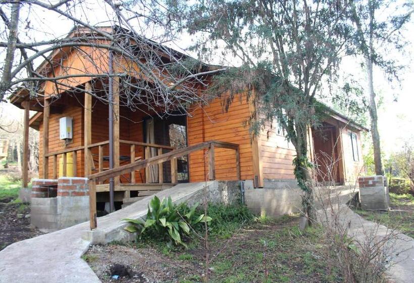 Люкс Вид на Сад, Apart Hotel Puchaley Lafquen