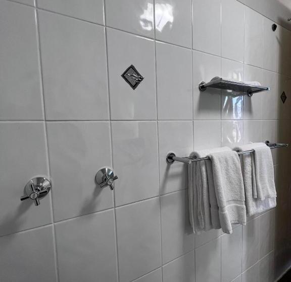 스탠다드 룸 킹사이즈 침대, Country Roads Motor Inn Dysart