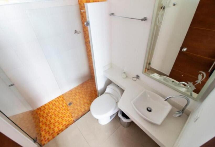 Apartamento 1 Dormitório Vista Mar, Apartamentos Palmetto   Frente Al Mar