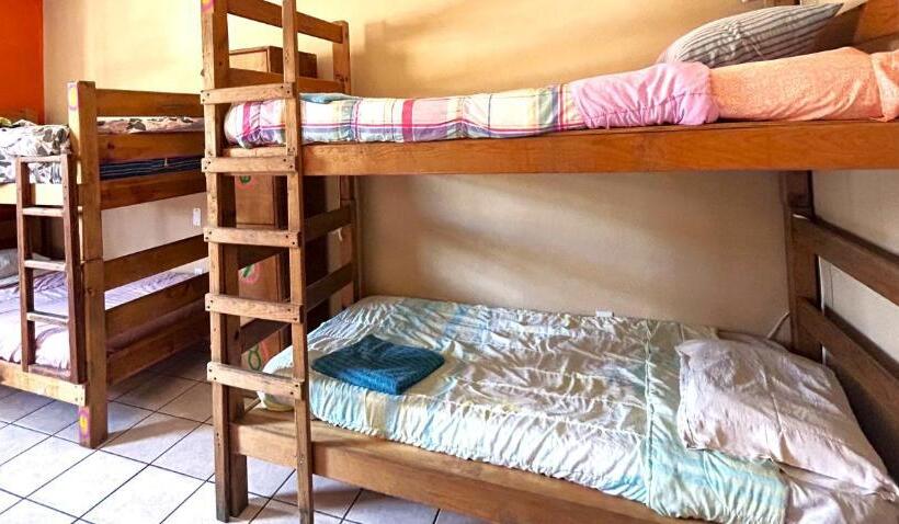 سرير فى غرفة مشتركه, Sofia Hostel Cabo
