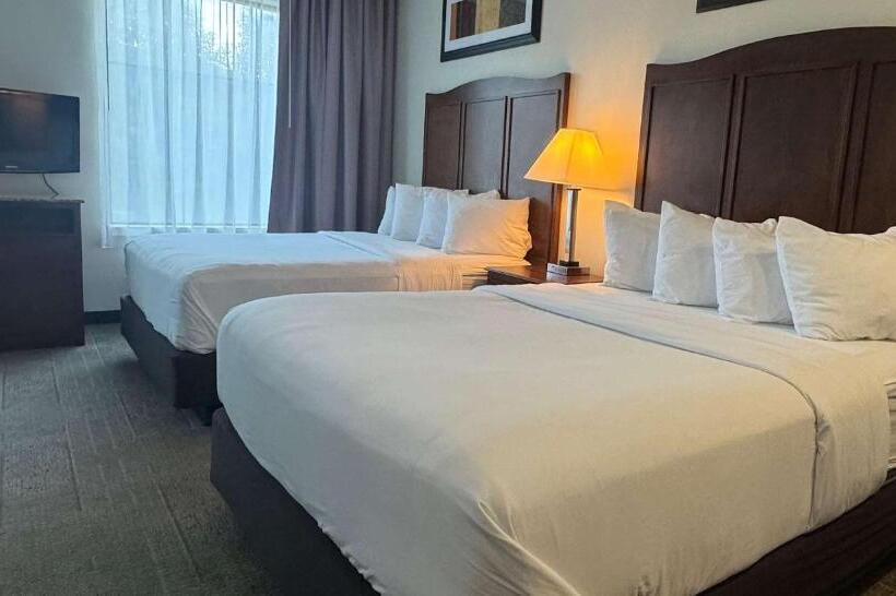 اتاق استاندارد با تخت دو نفره بزرگ برای معلولان, Best Western Plus Hannaford Inn & Suites
