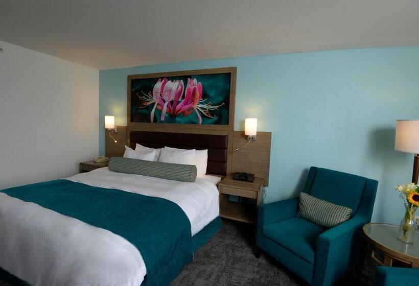 스탠다드 룸 킹사이즈 침대, Rod 'n' Reel Resort