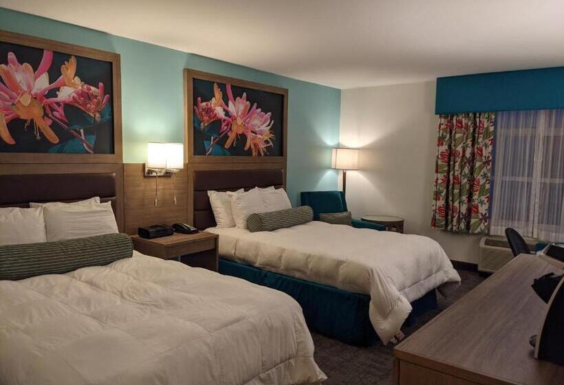 스탠다드 룸, Rod 'n' Reel Resort
