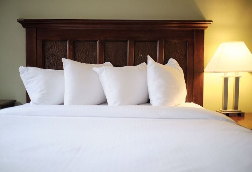 Номер Deluxe, The Inn On Ferry Street