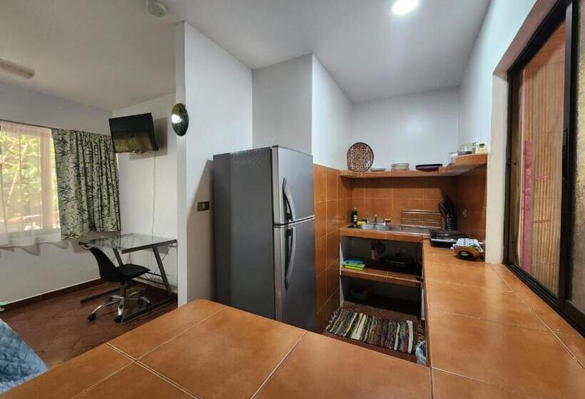 Студио Стандарт с Террасой, Villas Pura Vibra