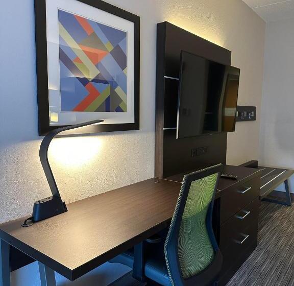 장애인을 위한 킹사이즈 침대 스탠다드 룸, Holiday Inn Express & Suites   Prospect Heights, An Ihg