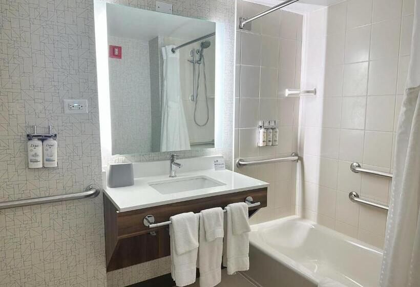장애인을 위한 스탠다드 룸, Holiday Inn Express & Suites   Prospect Heights, An Ihg