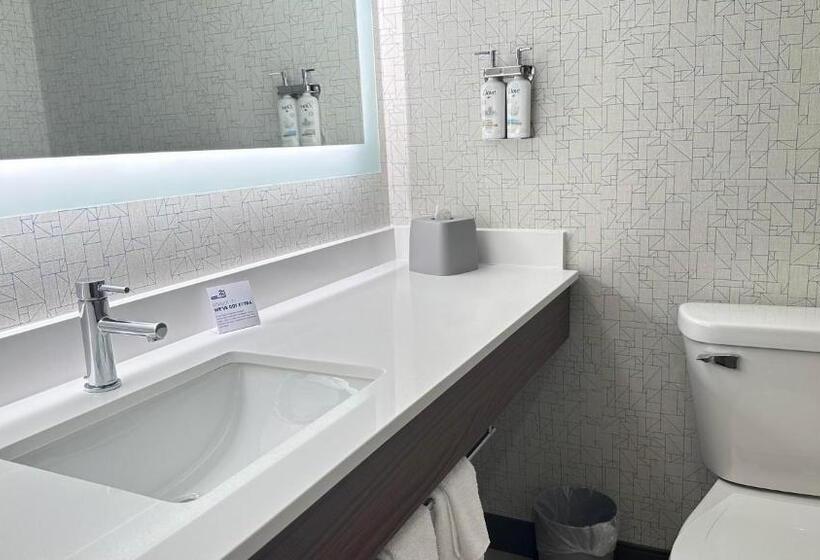 장애인을 위한 스위트, Holiday Inn Express & Suites   Prospect Heights, An Ihg