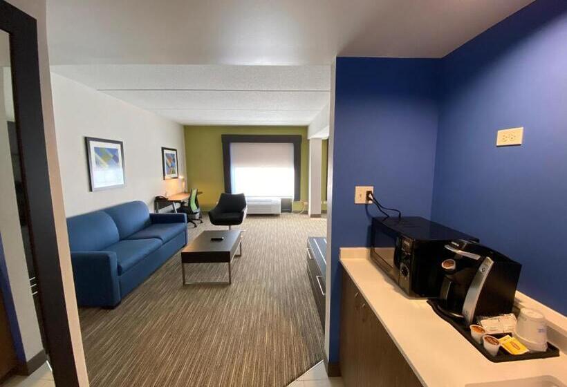 스위트, Holiday Inn Express & Suites   Prospect Heights, An Ihg