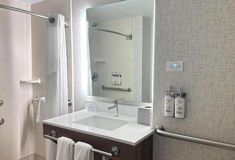 장애인을 위한 킹사이즈 침대 스탠다드 룸, Holiday Inn Express & Suites   Prospect Heights, An Ihg