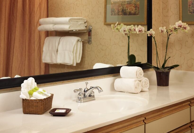 Люкс Адаптированный для Инвалидов, Larkspur Landing Extended Stay Suites Roseville