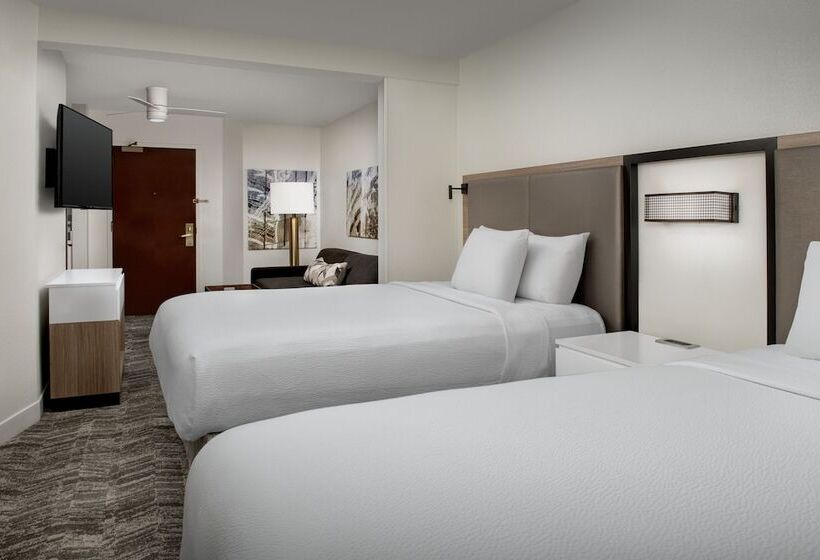 스위트, Springhill Suites By Marriott Atlanta Buford/mall Of Georgia
