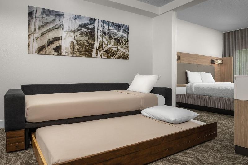스위트 킹사이즈 침대, Springhill Suites By Marriott Atlanta Buford/mall Of Georgia